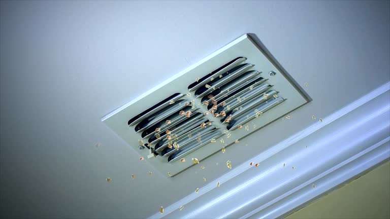 Best Best Air Duct Cleaning Company  in Eastover, NC